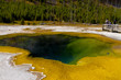 Yellowstone