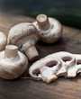 mushrooms