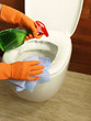 Cleaning a toilet