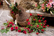 Carugi in fiore - Dolceacqua
