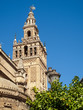 Foto: Citrus tree and ornate cathedral, Seville, Spain Citrus tree and ornate cathedral, Seville, Spain