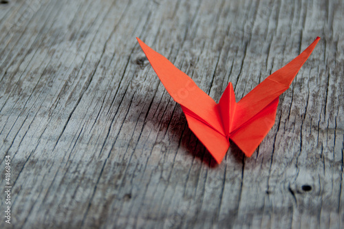 Photo: Farfalla origami Farfalla origami