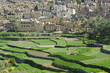 The village Bilad Sayt, sultanate Oman