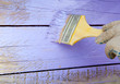 paint brush
