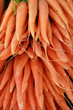 fresh carrots