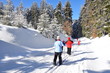 Foto: Skifahrer im Thüringer Wald Skifahrer im Thüringer Wald