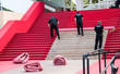 tapis rouge festival de cannes tapis rouge festival de cannes