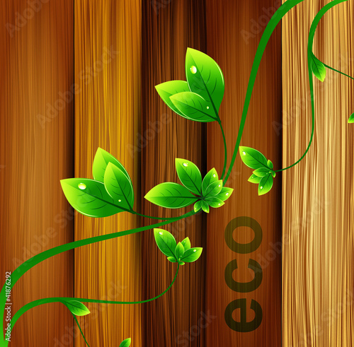 Vektor: abstract green leaves with wooden texture eco vector abstract green leaves with wooden texture eco vector