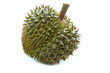 durian king of fruits in thailand studio light