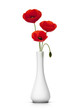 Foto: Bouquet de 3 coquelicots dans un vase. red Poppies Bouquet de 3 coquelicots dans un vase. red Poppies