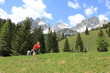 Bischofsmütze 1