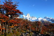 Mt. Fitz Roy Los Glaciares National Park, Patagonia, Argentina