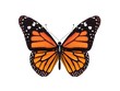 digital render of a monarch butterfly