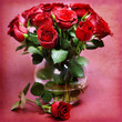 red roses