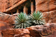 Felsentempel mit Agaven / Badami, Indien