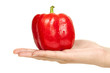 Red bell pepper in hand