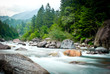 torrente