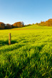 Pastures