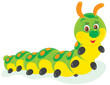 Caterpillar