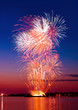 Colorful Firework In A Night Sky
