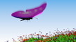 Video: pink butterfly flying over a field of flowers pink butterfly flying over a field of flowers