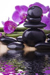 orchidea con pietre nere orchidea con pietre nere