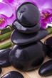 orchidea con pietre nere e bambù 3