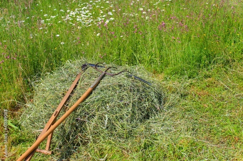 Foto: gartenarbeit heuernte gartenarbeit heuernte
