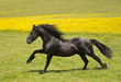 Friese