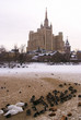 Ducks on the pond in winter. Moscow