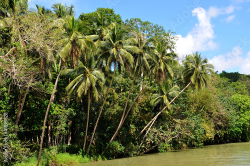 Photo: Landschaft am Loboc River Landschaft am Loboc River