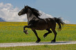 Friese
