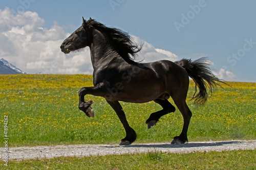 Photo: Friese Friese