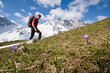 Foto: frühling in den Bergen frühling in den Bergen