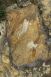 Deposit archaeological Blasi Deposit archaeological Blasi