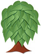 tree stylized