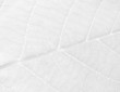 Abstract background leaf