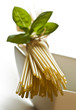 Spaghetti pasta na białym tle