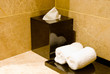 tissue and towel in a corner tissue and towel in a corner