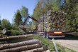 Foto: Loading Timber Loading Timber