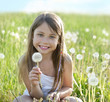 Sumer wishes