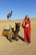 Photo: Woman in sari with her camels, Thar Desert, Rajasthan, India. Woman in sari with her camels, Thar Desert, Rajasthan, India.