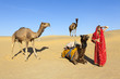 Photo: Woman in sari with her camels, Thar Desert, Rajasthan, India. Woman in sari with her camels, Thar Desert, Rajasthan, India.