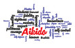 Web Art Design AIKIDO TAG CLOUD NUAGE MARTIAL ARTS  210