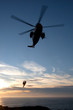RAF Seaking
