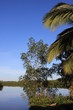 Guyane - Montsinéry - Fleuve