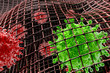 Infected with vector