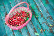 CESTO DI CILIEGIE CESTO DI CILIEGIE