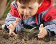 Photo: sprout in children hand sprout in children hand