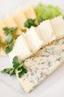 plate of cheese plate of cheese